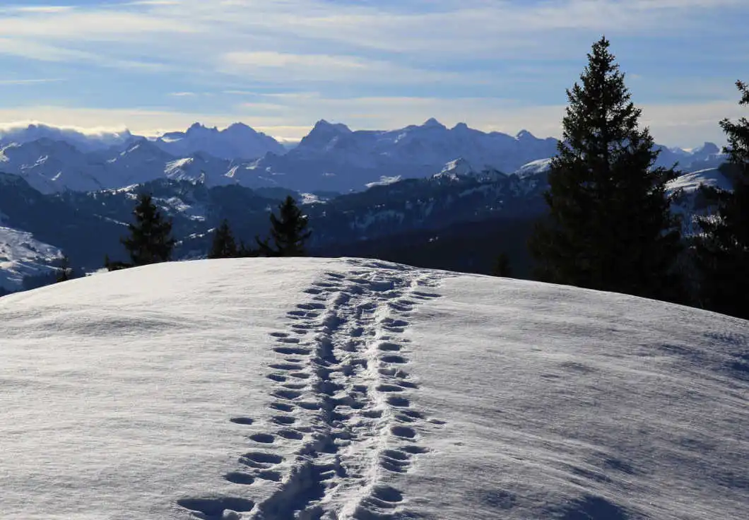  Volken Mode Store in Fiesch Schuhe
